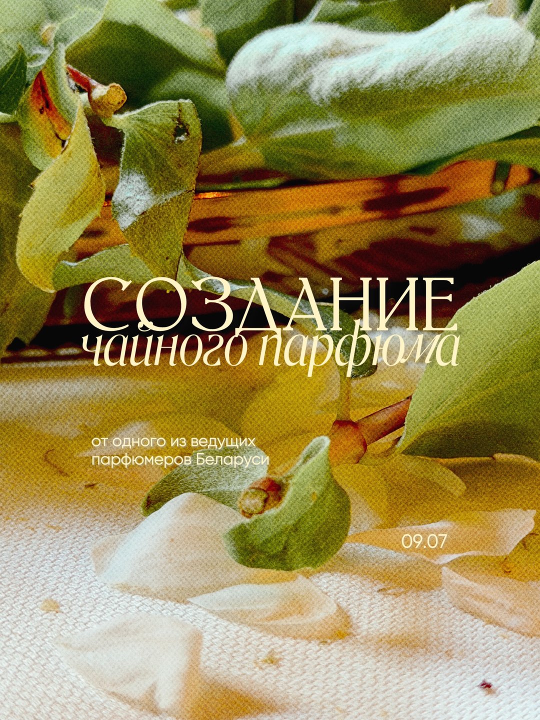 Чайный парфюм в галерее запахов НОС
