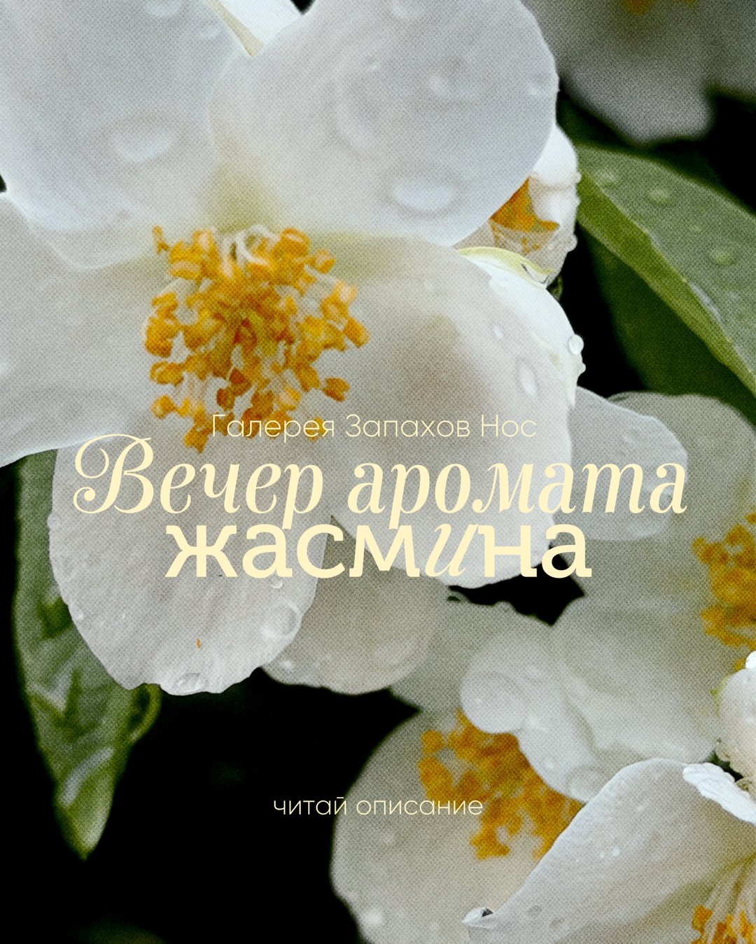 Вечер дистилляции жасмина в галерее запахов НОС